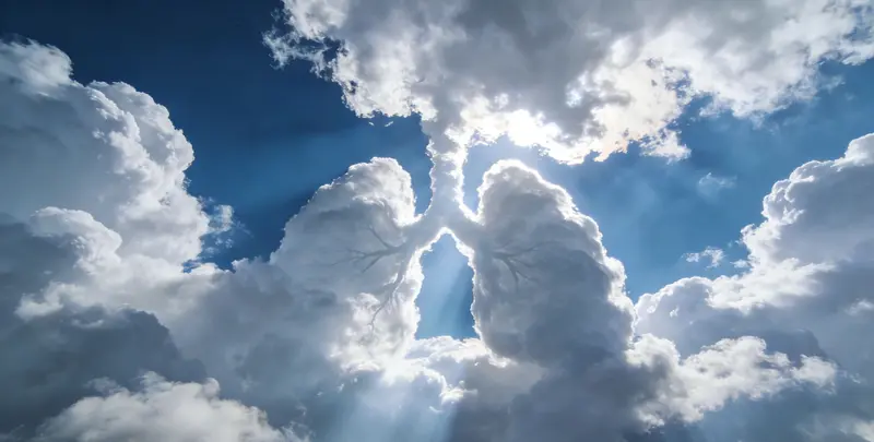 晋城肺癌靶向120基因检测及PDL122C3表达检测套餐（组织）图片1