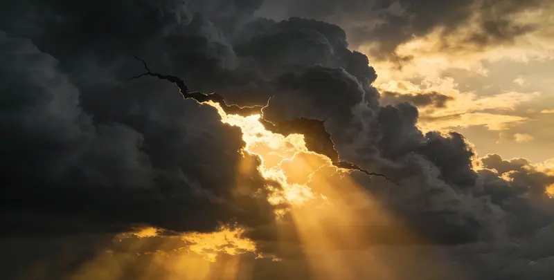 晋城肺癌11基因检测组织版图片1