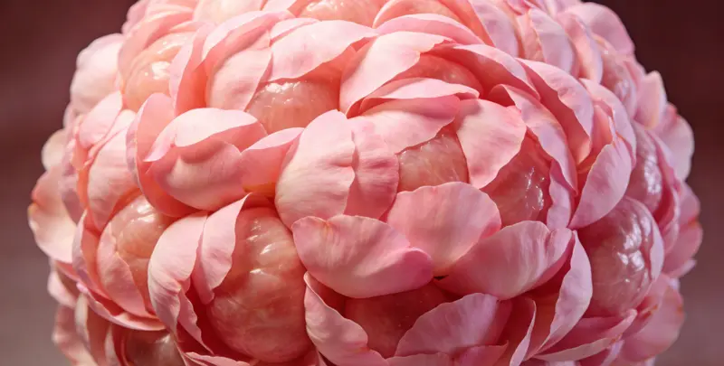 晋城BRCA1/2乳腺癌卵巢癌基因检测图片1